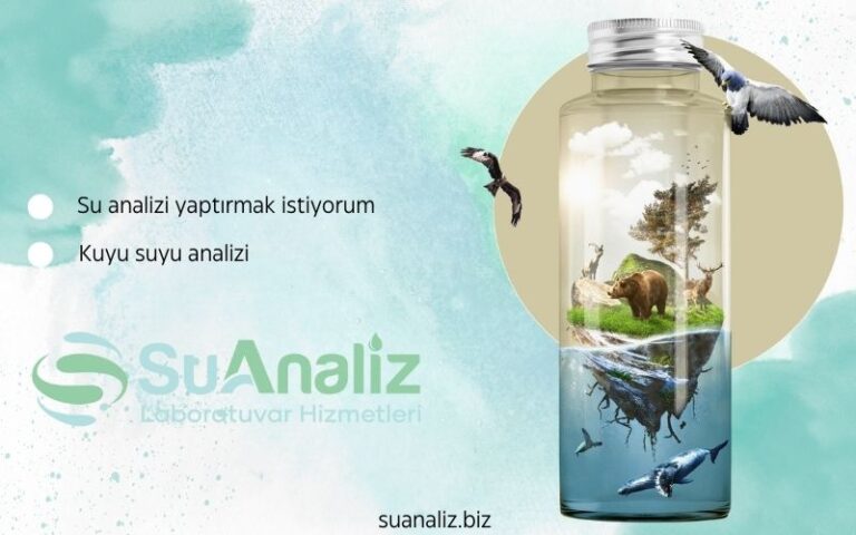 Su Analizi Yaptırmak İstiyorum: Dikkat Edilmesi Gereken 5 Kritik Nokta
