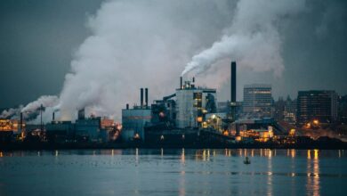 eçbs Bursa tehlikeli atık bertaraf ve imha